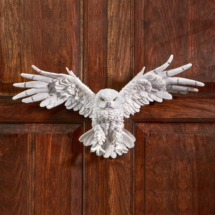 Design Toscano Owl Wall Décor & Reviews Wayfair